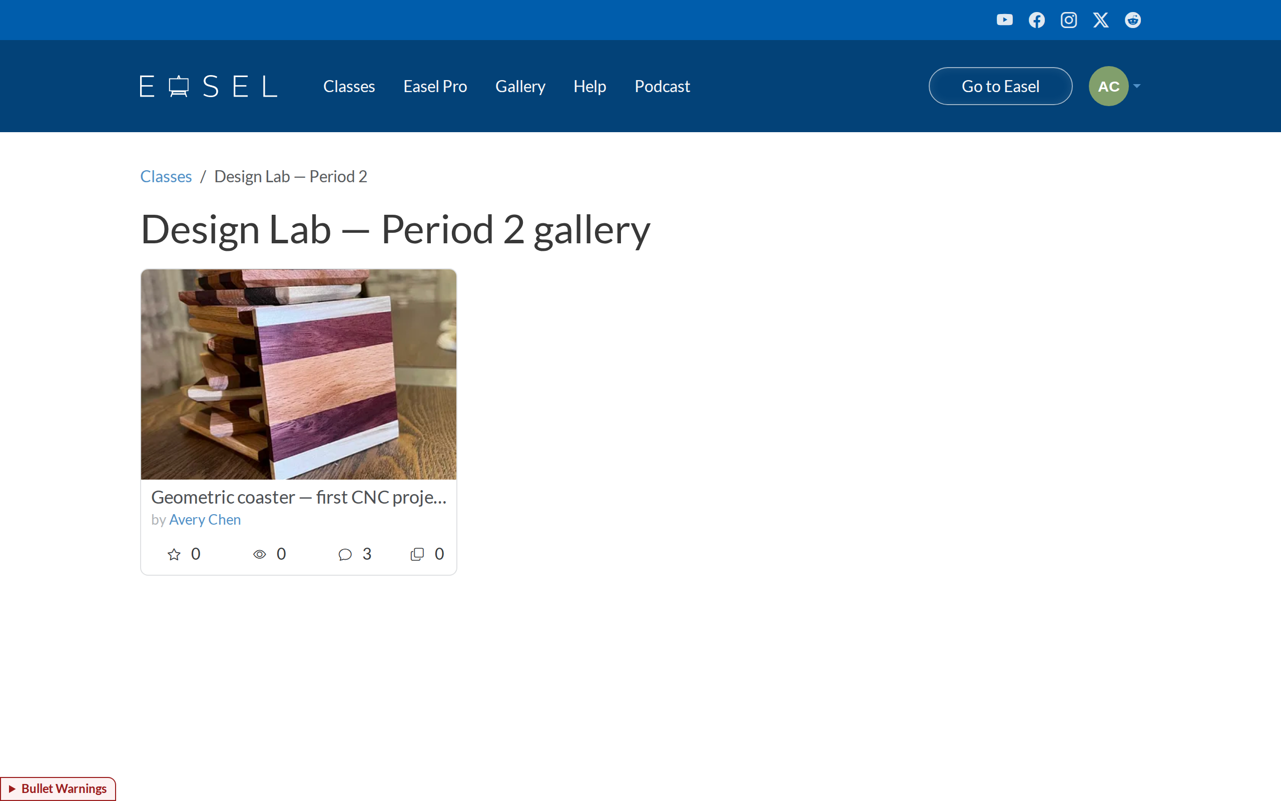 A class gallery, showing a project a student shared with the class